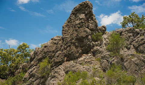 Verandah Cave - Tourism Brisbane 2