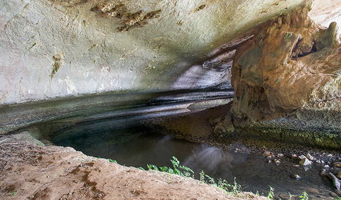 Verandah Cave - Tourism Brisbane 3