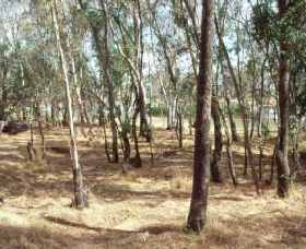 Chiltern-Mt Pilot National Park - Tourism Brisbane 0