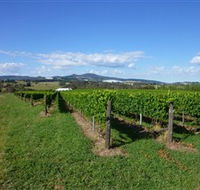 Hedberg Hill Wines - Tourism Brisbane