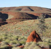 Camel Trail Millstream-Chichester National Park - Brisbane Tourism