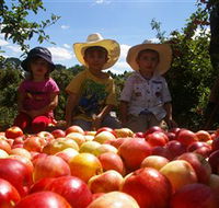 Bonny Glen Fruits - Tourism Brisbane
