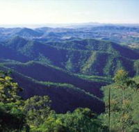 Kroombit Tops National Park - Tourism Brisbane