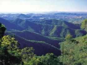 Kroombit Tops National Park - Tourism Brisbane 0