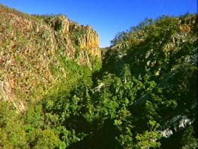 Kroombit Tops National Park - Tourism Brisbane 2