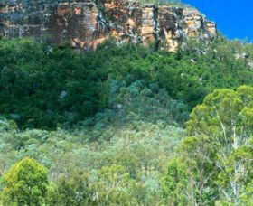 Cania Gorge National Park - Tourism Brisbane 1