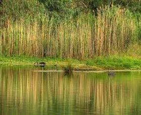 Wonga Wetlands - Tourism Brisbane 2