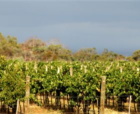 Amulet Vineyard And Beechworth Cider - Brisbane Tourism 7