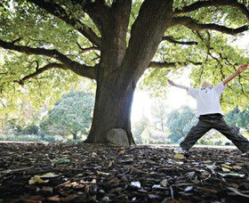 Albury Botanic Gardens - Tourism Brisbane 1