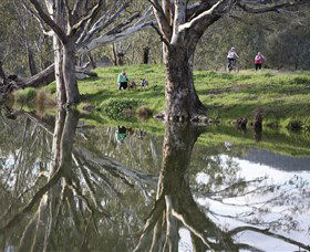 Wagirra Trail And Yindyamarra Sculpture Walk - Tourism Brisbane 1