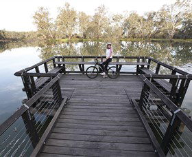 Wagirra Trail And Yindyamarra Sculpture Walk - Tourism Brisbane 6