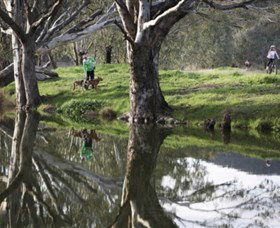 Albury - Murray River Precinct - Tourism Brisbane 3