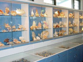 Shell World Yeppoon - Brisbane Tourism 1