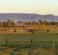 Holbrook Landcare Self-Drive Eco Tour - Tourism Brisbane