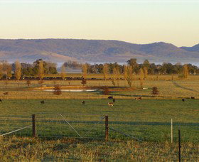 Holbrook Landcare Self-Drive Eco Tour - Tourism Brisbane 0