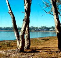 Lake Broadwater Conservation Park - Tourism Brisbane