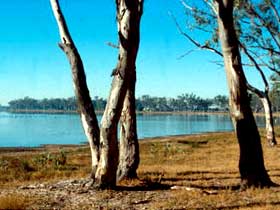 Lake Broadwater Conservation Park - Brisbane Tourism 0