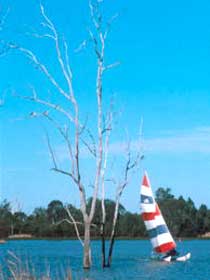 Lake Broadwater Conservation Park - Brisbane Tourism 2