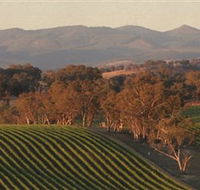 Angullong Wines - Tourism Brisbane