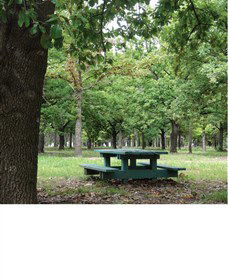 Lindsay Pryor National Arboretum - Tourism Brisbane 1