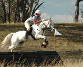 National Equestrian Centre - Kerrabee - Tourism Brisbane 0