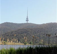 Black Mountain Peninsula - Tourism Brisbane