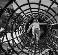 Pod Playground at the National Arboretum - Tourism Brisbane