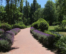 Glebe Park - Brisbane Tourism 1