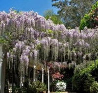 Nooroo Gardens - Brisbane 4u