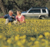 Coalseam Conservation Park - Brisbane Tourism