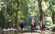 Springvale Horse Treks - thumb 2