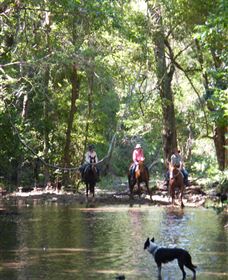 Springvale Horse Treks - Tourism Brisbane 2