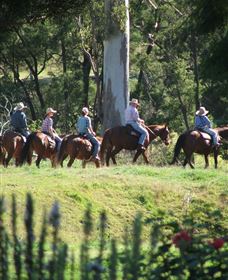 Springvale Horse Treks - Tourism Brisbane 1
