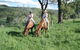 Springvale Horse Treks - thumb 3