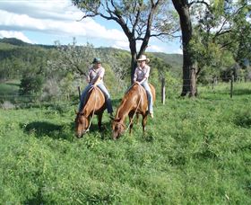 Springvale Horse Treks - Tourism Brisbane 3
