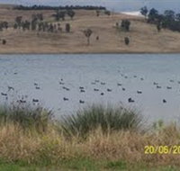 Lake Liddell Recreation Area - Tourism Brisbane