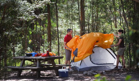 Bald Rock National Park - Tourism Brisbane 1