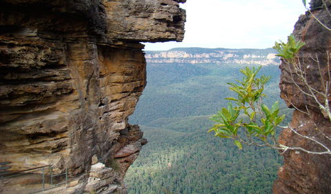 Three Sisters - Honeymoon Bridge - Tourism Brisbane 0