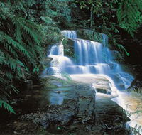 Leura Cascades - Brisbane Tourism
