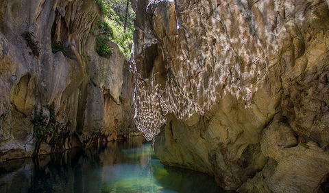 Mares Forest Creek Walking Track - Tourism Brisbane 2