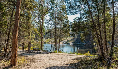 River Walk - Tourism Brisbane 1