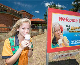 Mammino Gourmet Ice Cream - Tourism Brisbane 3