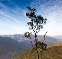 Salisbury Waters walking track - Tourism Brisbane
