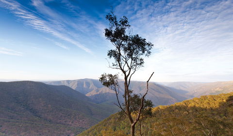 Salisbury Waters Walking Track - Tourism Brisbane 0