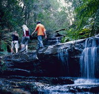 South Lawson Waterfall Circuit - Brisbane 4u