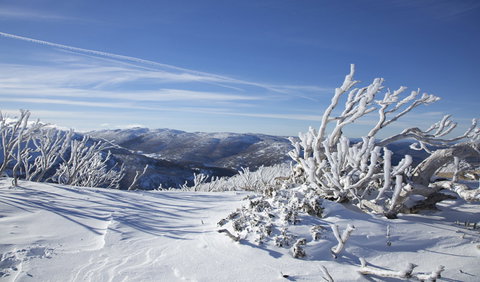 Rock Creek Snowshoe Track - Tourism Brisbane 0