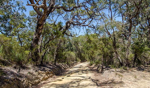 Howes Trail - Tourism Brisbane 0