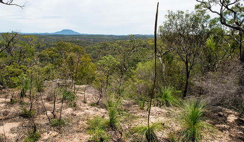 Howes Trail - Tourism Brisbane 1