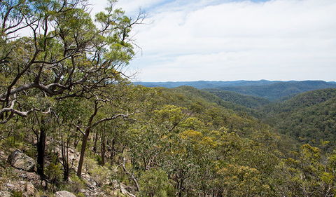 Howes Trail - Tourism Brisbane 2