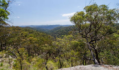 Howes Trail - Tourism Brisbane 3